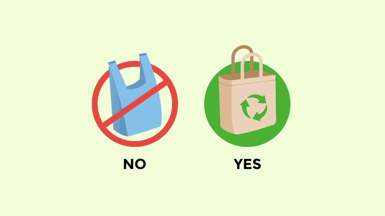 Single-Use Plastic Bag Bans in Malaysia